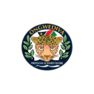 Ongwediva Town Council